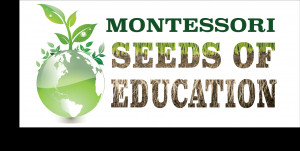 MontessoriSeeds: Right Perception Coupled With Discipline