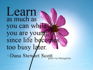 Learn as much as you can while you are young, since life becomes too ...