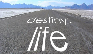 Finding Your Destiny?