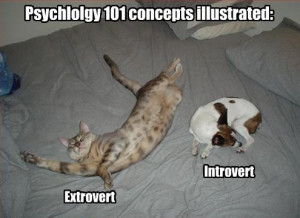 Introvert Extrovert hahaha...except that I sleep like the cat, but am ...