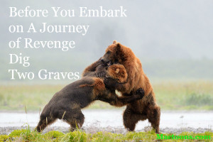 Things I Learned Along the Way: Grizzly Bear Fighting Near Water