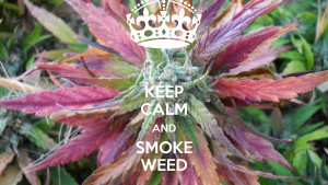 Home » Weed Quotes » Keep Calm and Smoke Purple Weed