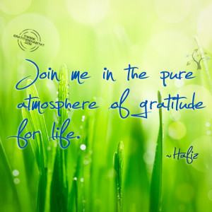 Go Back > Pix For > Hafiz Quotes