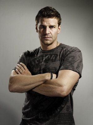 Who Likes/Loves David Boreanaz!!!! Then REBLOG THIS!!!!