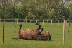 One of the earliest religious disappointments in a young girl's