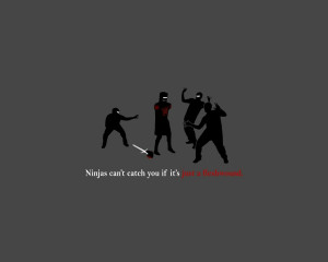 funny ninjas cant catch you if monty python and the holy grail ...