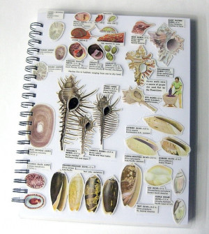 Beachcombing Sketch BookSketchbooks Journe, Journals Sketchbooks ...