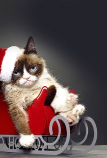 Grumpy Cat's Worst Christmas Ever (2014) Poster