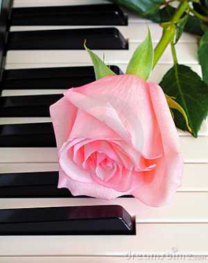 rose-on-piano-.jpg