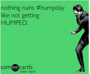 Hump Day! Lol