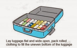 cartoon DIY travel easy tutorial luggage fun facts step by step