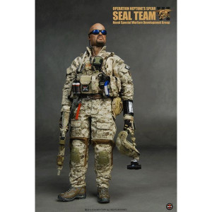 Operation Neptune Spear Seal Team Six United States Navy