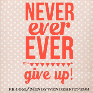 Never give up quote IG: @Mindy Burton Wender fitness nutrition ...
