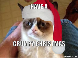 grumpy-christmas-cat-meme-generator-have-a-grumpy-christmas-70c57b.jpg