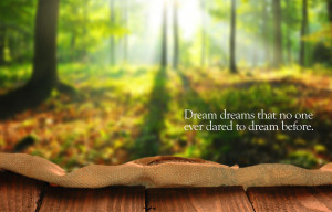 Dream Dreams