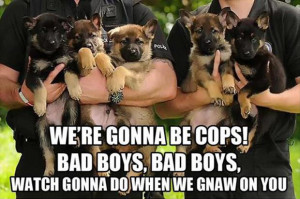 funny police dogs