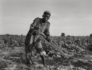 Photo of thirteen year-old sharecropper boy in Georgia during the ...