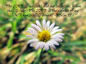 The LORD is my light and my salvation; Whom shall I fear? The LORD is ...