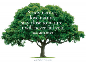 Study Nature, Love Nature, Stay Close To Nature, It Will Never Fail ...