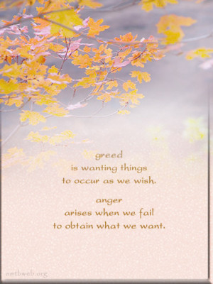 greed quotes, anger quotes, Buddhist sayings