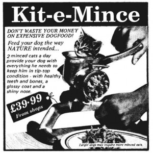 Pinned by Fiona Martin