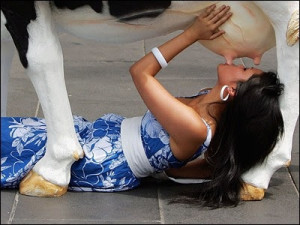 The Dangers of Drinking Cow Milk & Where Do Vegans Get Calcium