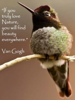 Van Gogh Nature's beauty quote
