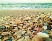 Beach and Seashell Photography - Turquoise Sea and Ocean Waves - Beach ...