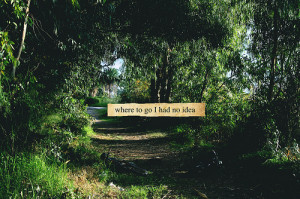 cute, forest, green, hipster, idea, photography, quote, quotes, text ...