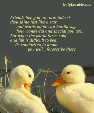 Friends like you are rare indeed