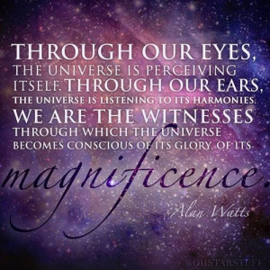 Through our eyes, the universe is perceiving itself. Through our ears ...