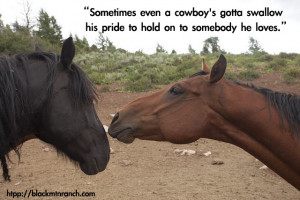 Horse Quotes and Cowgirl Quotes… with some Cowboy Quotes too