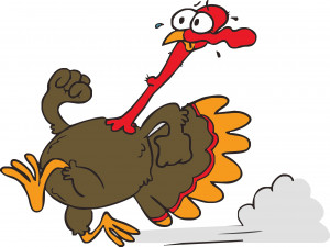 We will be meeting for a Thanksgiving Morning Fun Run at Parfet Park ...