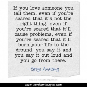Grey s anatomy love quotes