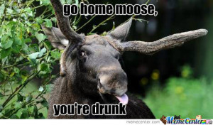 Description : funny moose meme,funny deer hunting signs,funny names ...