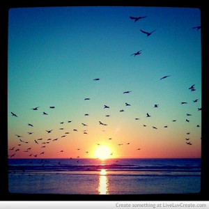 cute, fashion, lake and birds, love, pretty, quote, quotes