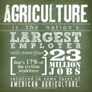 Agriculture fights unemployment.