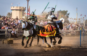 ... Festival, Minnesota Renaissance Festival and one of the biggest state