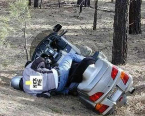 Funny Honda Goldwing Pictures