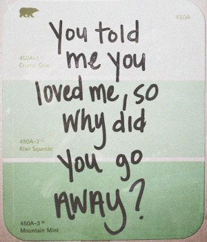 You told me you loved me so why did you go away ?