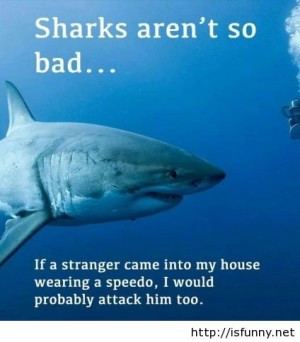 funny sharks are bad pics quote fun pictures fun sayings funny animals ...