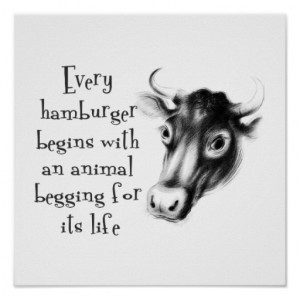 Animal Rights Poster