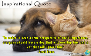 Quotes About Veterinarians
