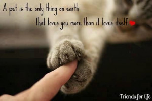 Cats give unconditional love...it's just hard to see sometimes. Visit ...