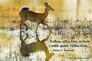 Follow effective action with quiet reflection.