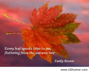 Cute Autumn Quotes Funny pictures, funny jokes,