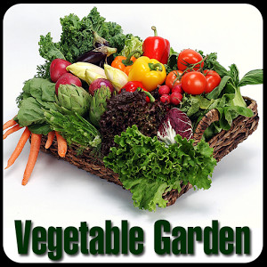 Vegetable Garden Guide
