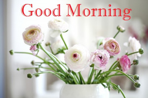 New Style of Good Morning Wishes Cards, Images, Pics