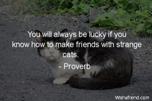 You will always be lucky if you know how to make friends with strange ...