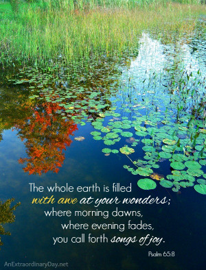 ... earth is filled with awe at your wonders :: AnExtraordinaryDay.net